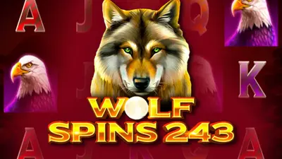 wolf spins 243